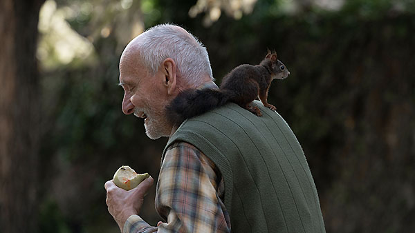 ��� ����